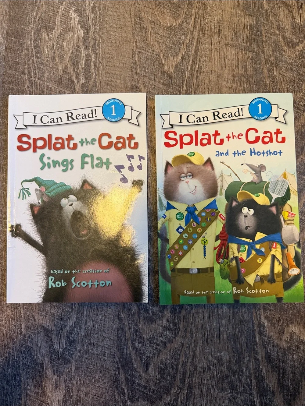 Splat the Cat Early Reader Book Lot - level 1